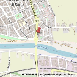 Mappa Viale 2 Giugno, 55, 56022 Castelfranco di Sotto, Pisa (Toscana)