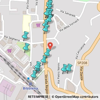 Mappa Strada regionale umbro casentinese, 52011 Bibbiena AR, Italia (0.157)