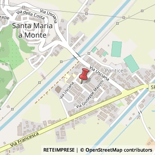 Mappa Via Usciana, 44, 56020 Santa Maria a Monte, Pisa (Toscana)