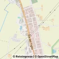 Térkép Bientina