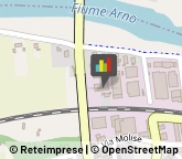 Trasporti con Containers,56020Pisa