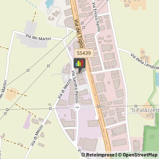 Fisiokinesiterapia - Medici Specialisti,56012Pisa