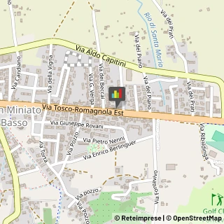 Ristoranti,56028Pisa