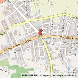 Mappa Strada Statale, Tosco-romagnola, 56028 San Miniato, Pisa (Toscana)