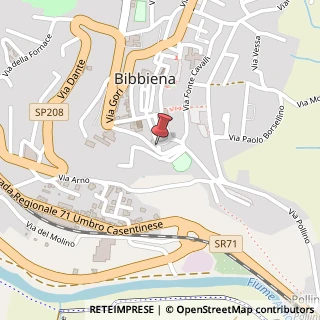 Mappa Via G. Borghi,  1, 52011 Bibbiena, Arezzo (Toscana)