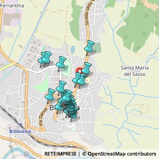Mappa Viale Filippo Turati, 52011 Bibbiena AR, Italia (0.43)