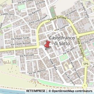 Mappa Viale Italia, 7, 56022 Castelfranco di Sotto, Pisa (Toscana)