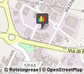 Articoli per Ortopedia,56028Pisa