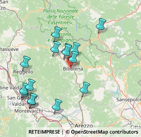 Mappa Via Buonconte Da Montefeltro, 52011 Bibbiena AR, Italia (16.286)