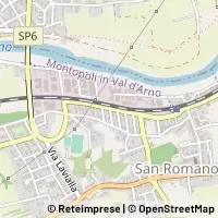 Kaart Montopoli in Val d'Arno
