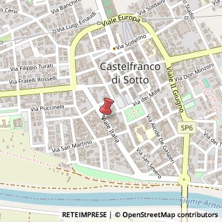 Mappa Viale Italia, 30, 56022 Castelfranco di Sotto, Pisa (Toscana)