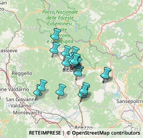 Mappa Localita' Ferrantina, 52011 Bibbiena AR, Italia (9.19737)