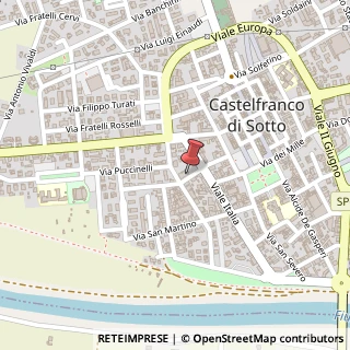 Mappa Via Raffaello Sanzio, 4, 56022 Castelfranco di Sotto, Pisa (Toscana)