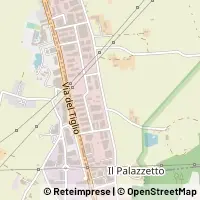 Map Bientina