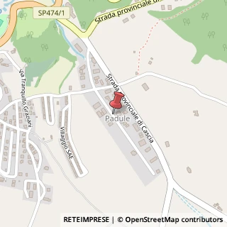 Mappa Localita' padule, 06043 Cascia, Perugia (Umbria)