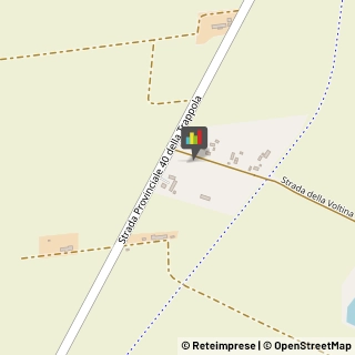 Aziende Agricole,58100Grosseto