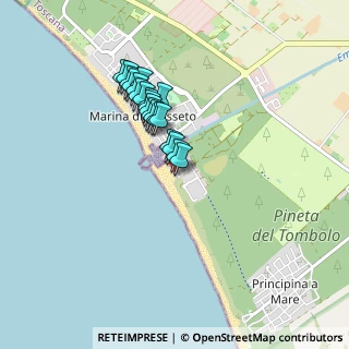 Mappa Via Ugo Foscolo, 58100 Marina di Grosseto GR, Italia (0.719)