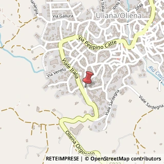 Mappa Via Martin Luther King, 95, 08025 Oliena, Nuoro (Sardegna)
