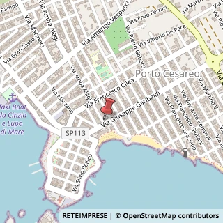 Mappa Via Giuseppe Garibaldi, 111, 73010 Porto Cesareo, Lecce (Puglia)