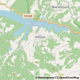 Mappa Spinoso