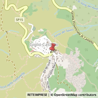 Mappa Strada Provinciale 15 - 58012, Isola Del Giglio (GR), 58012 Giglio Castello GR, Italia, 58012 Isola del Giglio, Grosseto (Toscana)