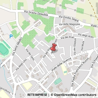 Mappa Via dei ciclamini 29/a, 87012 Castrovillari, Cosenza (Calabria)