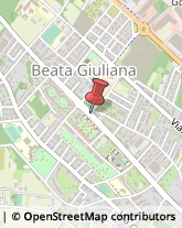 Viale della Repubblica, 62,21052Busto Arsizio