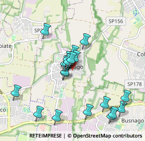 Mappa Via Giacomo Matteotti, 20883 Mezzago MB, Italia (0.916)