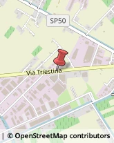 Via Triestina, 17,30024Musile di Piave