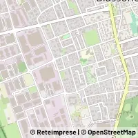 Map Biassono
