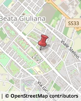 Viale della Repubblica, 44,21022Busto Arsizio