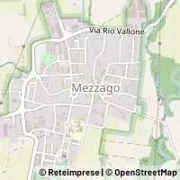 지도 Mezzago
