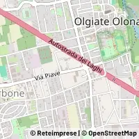 Map Olgiate Olona