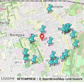 Mappa Via degli Artigiani, 20853 Biassono MB, Italia (1.055)