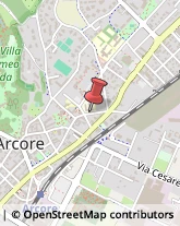 Via Tomaselli, 1,20862Arcore