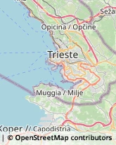 Ristoranti Trieste,34144Trieste