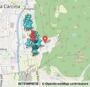 Mappa Via Borgo, 25069 Villa Carcina BS, Italia (0.395)