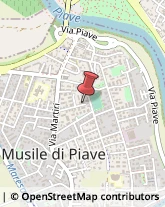 Via Dante Alighieri, 21,30024Musile di Piave