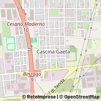 Hartă Cesano Maderno
