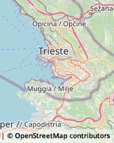 Abbigliamento Trieste,34144Trieste