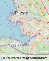 Abbigliamento Trieste,34146Trieste