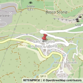 Mappa Localita' s. antonio in bosco 77, 34018 San Dorligo della Valle, Trieste (Friuli-Venezia Giulia)