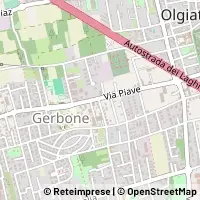 Peta Olgiate Olona