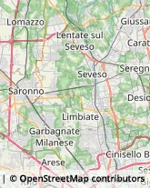 Agenzie di Animazione e Spettacolo Seveso,20822Monza e Brianza