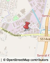 Via Maestri del Lavoro, 60,30027San Donà di Piave