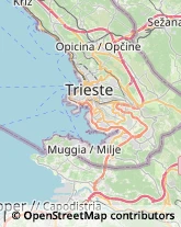 Tabaccherie Trieste,34143Trieste