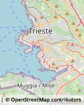 Tabaccherie Trieste,34146Trieste