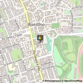 Assicurazioni Biassono,20853Monza e Brianza