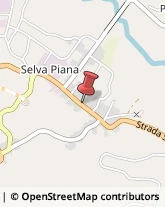 Contrada Selva Piana, 54,66043Casoli