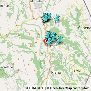 Mappa Via Belvedere, 00060 Castelnuovo di Porto RM, Italia (1.462)